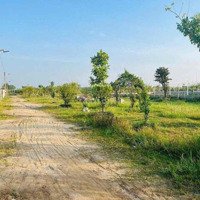Bán Lỗ Gần 1.000M2 Đất Sẵn Vườn, Đường Ôtô, Shr, Ngay Kênh Đông, Củ Chi