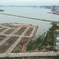 Biệt Thự Đảo Hoa - Cửa Ngõ Đảo Ngọc Tuần Châu - Vị Trí Vàng - Cạnh Đường 10 Làn Quốc Lộ 18