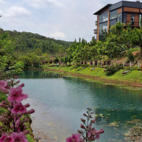 Bán 125M2 Đất Giáp Hồ Bảo Lộc Kế Dãy Homestay Đang Kinh Doanh Chỉ 799 Triệu
