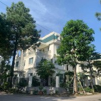 Giá Tốt Nhất Thị Trường Biệt Thự The Phoenix - Đan Phượng.