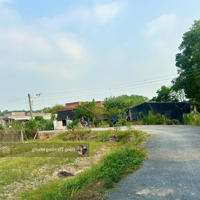 Siêu Phẩm 2200M2 Đường Nhựa Có Thổ Cư 1.65 Tỷ, Phước Bình, Phước Thạnh, Gò Dầu, Tây Ninh