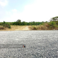 Siêu Phẩm 2200M2 Đường Nhựa Có Thổ Cư 1.65 Tỷ, Phước Bình, Phước Thạnh, Gò Dầu, Tây Ninh