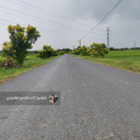 650 Triệu Nhựa Bàu Sen 5X40M Có Thổ Cư Thanh Phước, Gò Dầu, Tây Ninh