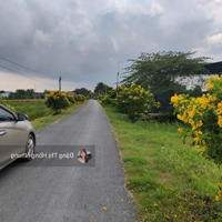 650 Triệu Nhựa Bàu Sen 5X40M Có Thổ Cư Thanh Phước, Gò Dầu, Tây Ninh