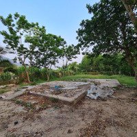 Bình Thuận: Bán Lô Đất 1 Sào Có Suối Chảy Hết Chiều Dài Đất Hơn 70M, Chỉ 440 Triệu