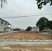 Bán Lô Đất 65M2 Cách Đường 352 50M Gần Trường Tiểu Học Lại Xuân, Tp Thủy Nguyên Chỉ Với 550 Triệu