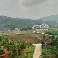 Siêu Phẩm Nghỉ Dưỡng Viu Cánh Đồng Siêu Hiếm, Tại Hòa Lạc Gần Các Trường Đh Lớn Tại Cnc Hòa Lạc