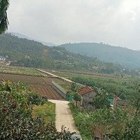 Siêu Phẩm Nghỉ Dưỡng Viu Cánh Đồng Siêu Hiếm, Tại Hòa Lạc Gần Các Trường Đh Lớn Tại Cnc Hòa Lạc