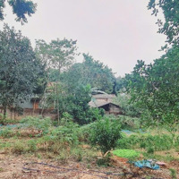 Bán Đất 730M2 Full Full Thổ Cư Tại Xã Cao Dương, Lương Sơn, Hòa Bình, Giá Bán 2,25 Tỷ, View Đẹp Uy Tín