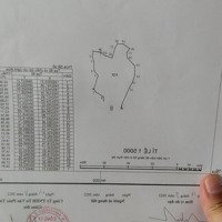 Chính Chủ Bán Gấp 3Ha Đất Gần Biển
