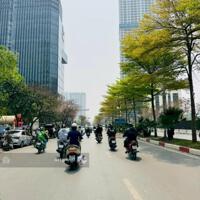 Bán nhà PL Ngõ 10 Nguyễn Văn Huyên 7 Tầng Thang Máy Kinh Doanh Ngày Đêm Dòng Tiền Ổn Định