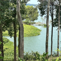 Ông Bà Em Để Lại Mảnh Vườn Chăm Kĩ Lưỡng, View Hồ Trị An Vô Cực 2000M2 Giá Cực Sốc
