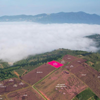 Bán Gấp! Đất "Săn Mây Thiên Đường" 2000M2 + 200M2 Thổ Cư, Sổ Đỏ - Giá Cực Sốc