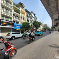 Bán Gấp - Nhà Mặt Phố Vip Hào Nam 7 Tầng Thang Máy Chỉ 33 Tỷ