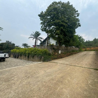 Bán Đất Tại Xã Yên Bài, Ba Vì, Hà Nội, 5 Triệu / M2, 5462 M2/300M2 Thổ Cư: Liên Hệ: 098236866