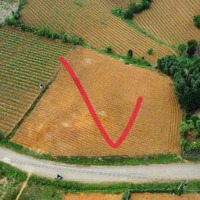 Bán Đất Mặt Đường Nhựa Liên Xã 1668M2 - 1015M2 Ont Mặt Tiền 50M Có Thể Phân Lô Làm Xưởng