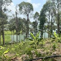 SỞ HỮU MẢNH VƯỜN XINH NGHỈ DƯỠNG GẦN HỒ TRỊ AN – VIEW ĐẸP, GIÁ TỐT