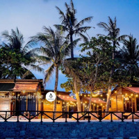 Hiếm - Cần Tiền Bán Homestay Mặt Biển,Diện Tích456M2 (100M2 Ont), An Mỹ, Tuy An, Phú Yên. Giá Tốt 13,5Tỷ