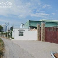 Bán Đất Bình Chánh Dân Cư Xây Dựng Mới Chuẩn Bị Cho Lên Thổ Cư