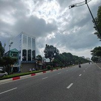 Cho Thuê Tòa Nhà 6 Tầng Tại Lê Hồng Phong, Phường 7, Vũng Tàu Phù Hợp Ngân Hàng, Spa, Vp Công Ty