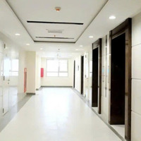 Bán Nhanh Tòa Nhà Chdv Xây Mới, 35 Phòng, Quận Tân Phú