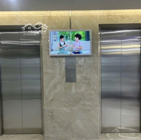 Bán Nhanh Tòa Nhà Chdv Xây Mới, 35 Phòng, Quận Tân Phú