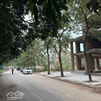 Nhỉnh 11 Tỷ Sở Hữu Lô Đất Biệt Thự Tại Khu Hà Phong Mê Linh