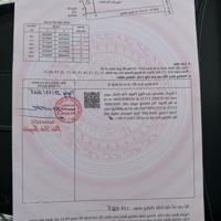 Bán Đất Đẹp Tại Đường 352, Thủy Nguyên, Hải Phòng, Giá Siêu Hời 450 Triệu, 62.2M2
