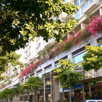 Quỹ Căn Shophouse Hầm-5.5 Tầng 136M2 Ký Trực Tiếp Cđt Chỉ 3,8 Tỷ Sở Hữu Ngay Hỗ Trợ Vay 24 Tháng 0%
