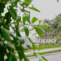 Sở Hữu Villa Venus Flaming Đại Lải - Cơ Hội Về Hưu Sớm Với Thu Nhập Thụ Động Lên Đến 50 Triệu Mỗi Tháng