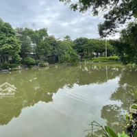Biệt Thự Vinhomes Riveride Long Biên_ Diện Tích: 315M2, Giá Bán 105Tỷ