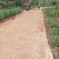 Rất Cần Tiền Vay Ngân Hàng Tôi Chủ Đất Sào 1000M2 Tân Lợi, Hớn Quản, Bình Phước Đường 5M, Sổ Sẵn