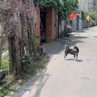 Bán Đất Hòa Hiệp Bắc, 3,55 Tỷ, 274,2 M2, Giá Siêu Hời Chỉ Với 6,5M Mặt Tiền, Đà Nẵng