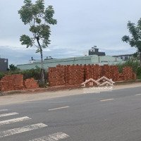 Hàng Hiếm Tại Hà Duy Phiên, Giá Thỏa Thuận, 4700 M2, Đức Hòa, Long An