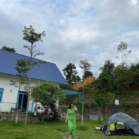 Cho Thuê Trang Trại Ở Lương Sơn Hoà Bình Sẵn Nhà Mở Đẹp Và Mới, Giá Rẻ