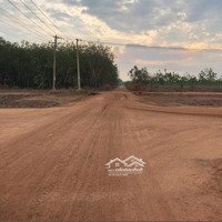 Đất Chính Chủ Cần Bán 1000M2 Giá Bán 350 Triệu Sổ Sẵn Giá Đang Thấp Nhất Cho Nhà Đầu Tư Sinh Lời
