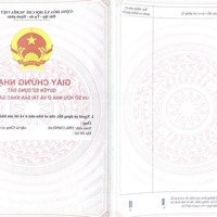 Đất Phẳng 3Ha Cơ Hội Vàng Đầu Tư Đỉnh Cao