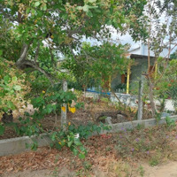 Siêu Phẩm Đất Khoáng Nóng Đô Thị Gần 800M², 35M Mặt Tiền Giá Chỉ Hơn 7 Triệu!