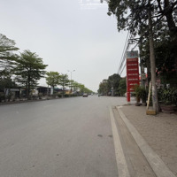 Bán Đất Đẹp Xuất Sắc Tại Thị Trấn Trâu Quỳ, Gia Lâm - Hiếm - 10,8 Tỷ - 60M2.
