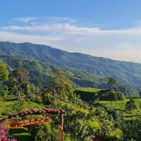 Bán Sỉ Lô Đất "Thiên Đường Săn Mây" 1.5 Ha (15.000M2) View Cực Đỉnh-Giá Chỉ 14 Tỷ, Sang Sổ Nhanh