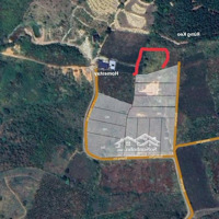 Bán Sỉ Lô Đất "Thiên Đường Săn Mây" 1.5 Ha (15.000M2) View Cực Đỉnh-Giá Chỉ 14 Tỷ, Sang Sổ Nhanh