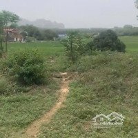 Đất Nghỉ Dưỡng View Đẹp/ Thế Đất Cao Đẹp View Thoáng( Lưng Tựa Đồi, Trước Mặt Cánh Đồng Thoáng)