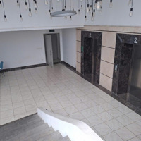 Cho Thuê Mặt Bằng Kinh Doanh Rice City Tố Hữu