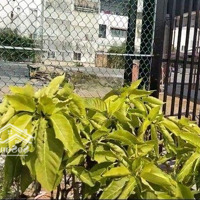 Đất Mặt Tiền Đường Nhựa 14M - Diện Tích 934M2 - Ngang Khủng 72M - Thổ Cư 100%
