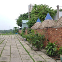 Cho Thuê Nhà Mặt Phố Trịnh Hoài Đức, 20 Triệu, 1000M2, Cơ Bản, Mặt Tiền 15M