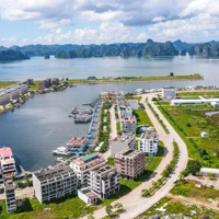Hot! Bán Đất 65 Triệu, 105M2 Tại Kđt Cảng Ngọc Châu, Hạ Long, Quảng Ninh