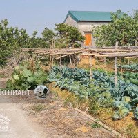 Bán Ô Đất 110M2 Chính Chủ Tại Xã Tiền An - Quảng Yên. Phù Hợp Đầu Tư Hoặc Để Ở