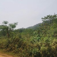 Bán Trang Trại, Khu Nghỉ Dưỡng Tại Ngọc Thanh, Phúc Yên, Vĩnh Phúc, 2,7 Triệu / M2, 11800 M2