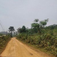 Bán Trang Trại, Khu Nghỉ Dưỡng Tại Ngọc Thanh, Phúc Yên, Vĩnh Phúc, 2,7 Triệu / M2, 11800 M2
