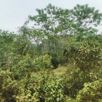 Bán Trang Trại, Khu Nghỉ Dưỡng Tại Ngọc Thanh, Phúc Yên, Vĩnh Phúc, 2,7 Triệu / M2, 11800 M2